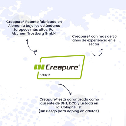 HSN Creatina Excell 100% Creapure® En Polvo - Sin Sabor 500 G | 100% Puro Monohidrato De Creatina Sin Añadidos. Libre De DCD O DHT. No Incluye Dosificador.