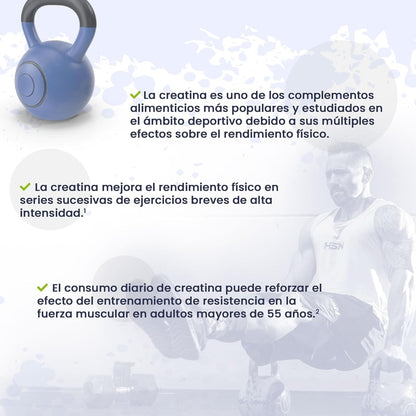 HSN Creatina Excell 100% Creapure® En Polvo - Sin Sabor 500 G | 100% Puro Monohidrato De Creatina Sin Añadidos. Libre De DCD O DHT. No Incluye Dosificador.